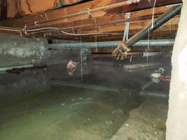 Trusted KS Water damage restoration Experts
