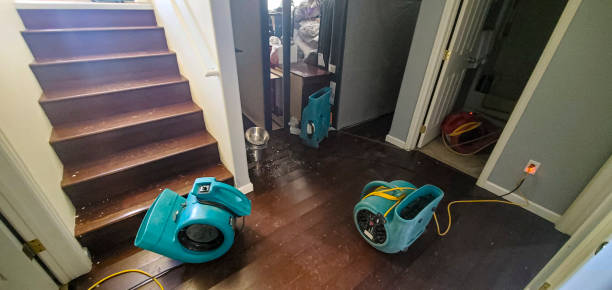 Best Flooded house restoration  in South Hutchinson, KS