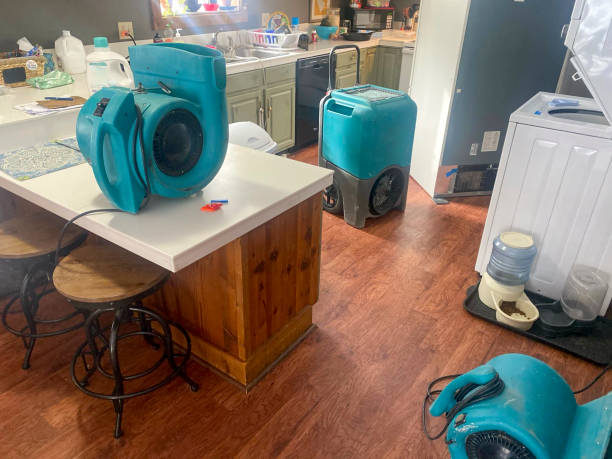 Best Ceiling water damage repair  in South Hutchinson, KS