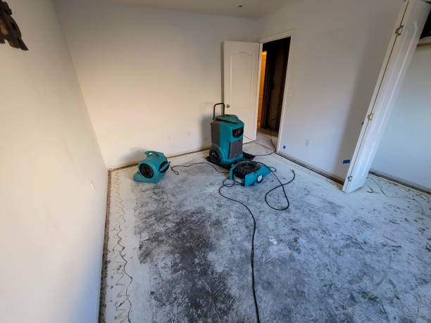 Best Water damage restoration near me  in South Hutchinson, KS
