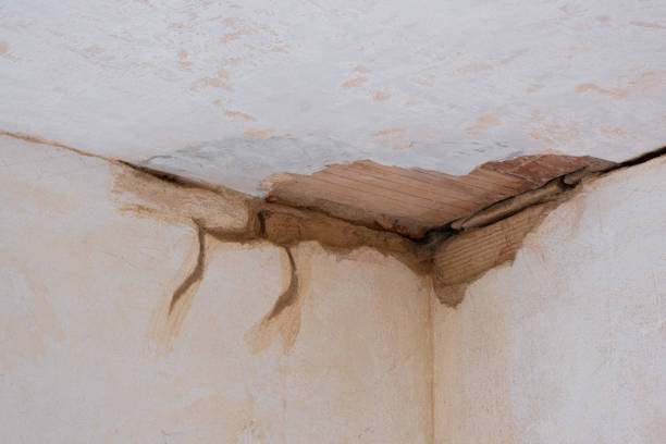 Best 24/7 water damage repair  in South Hutchinson, KS