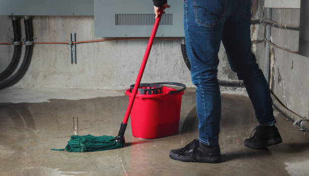 Best Sewage cleanup and water damage restoration  in South Hutchinson, KS