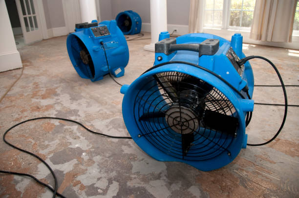 Best Water damage restoration near me  in South Hutchinson, KS