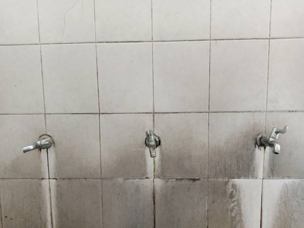 Best Flood damage cleanup  in South Hutchinson, KS